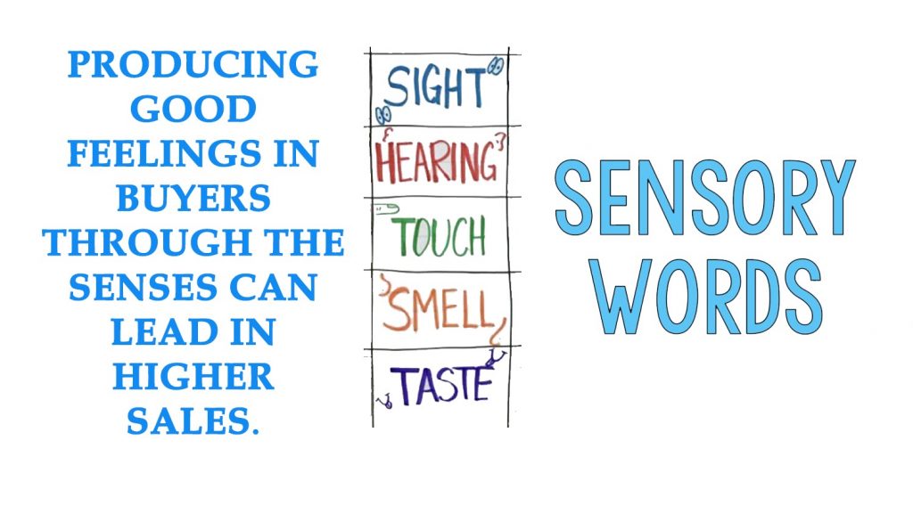 sensory words