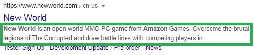 New World home page in SERPs with circled meta description