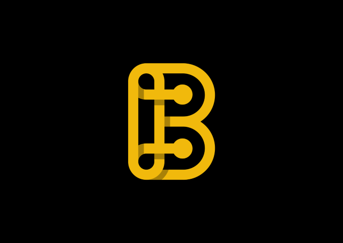 Binance Smart Chain launchpad logo