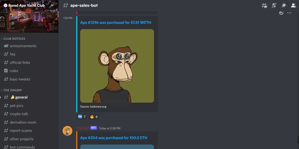 Bored Ape Yacht Club Discord Community 