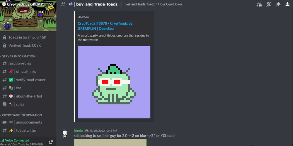 CrypToadz NFT Discord Community