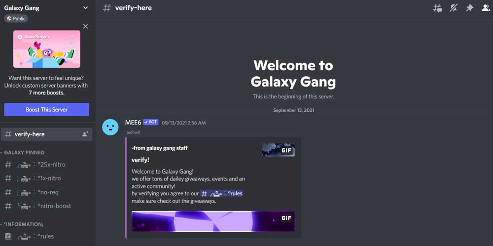 Galaxy Gang Discord Community 
