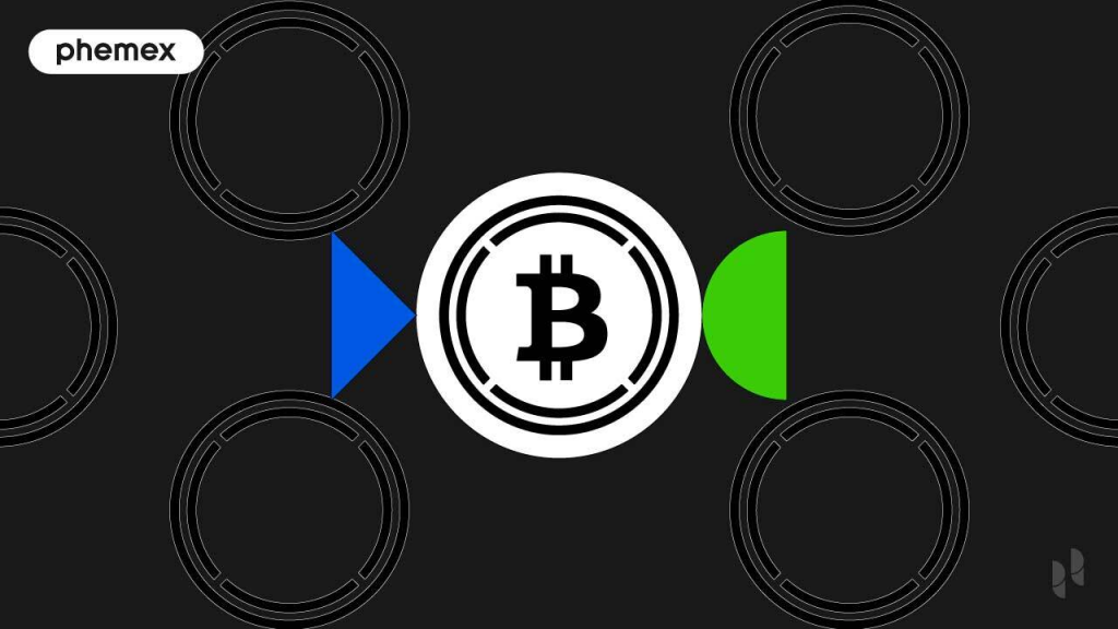 Image showing a white bitcoin