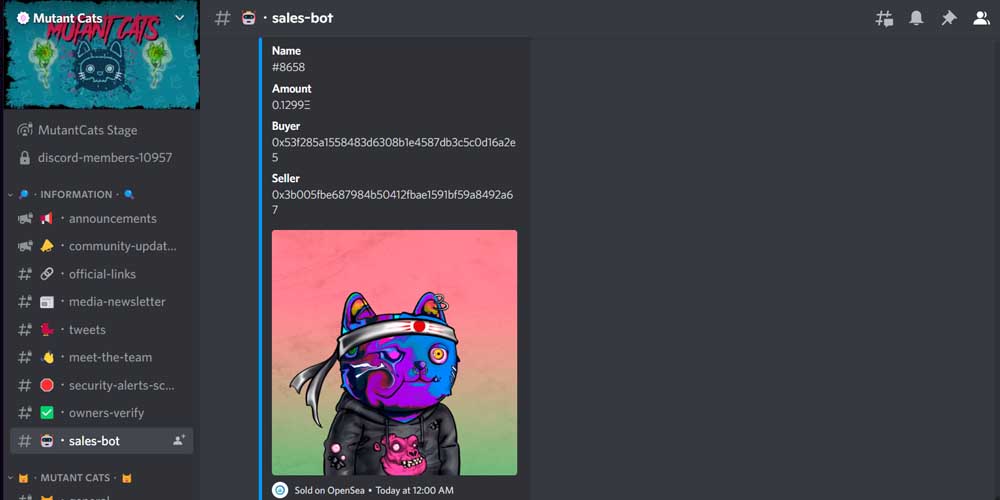 Mutant Cat Discord Community 