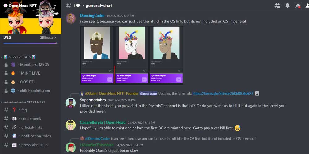 Open Head NFT Discord Community 