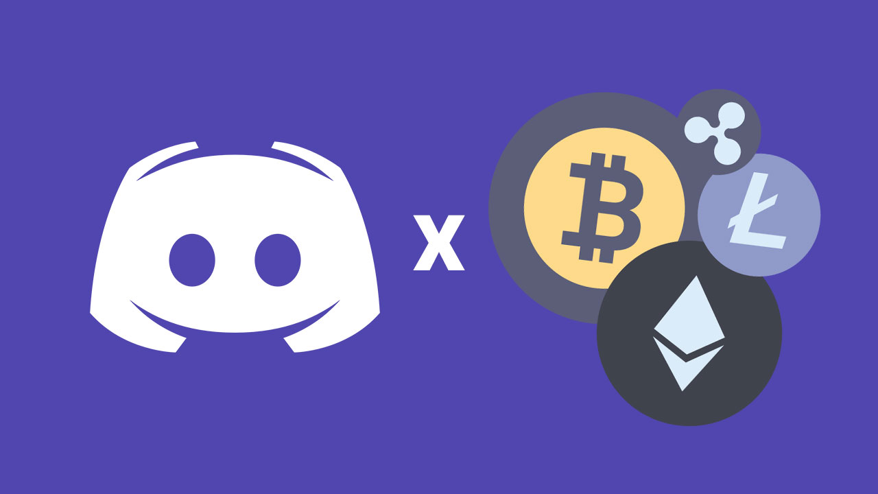 Discord keys. Гендиректор дискорд. ceo дискорда. ген директор discord. старый ceo discord.