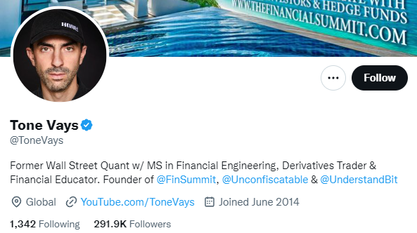 Tone Vays twitter profile one of financial educator