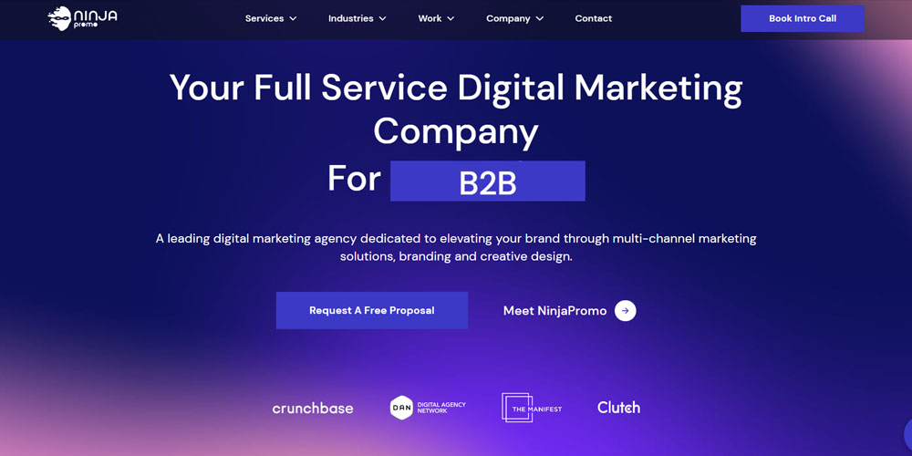 Ninja Promo digital marketing agency for B2B and software main page