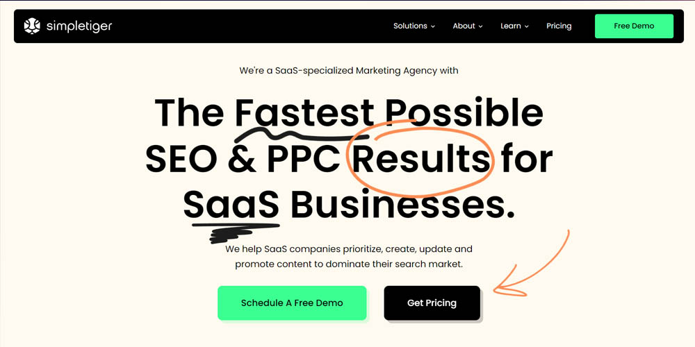 SimpleTiger as the fastest SEP and PPC results and main page
