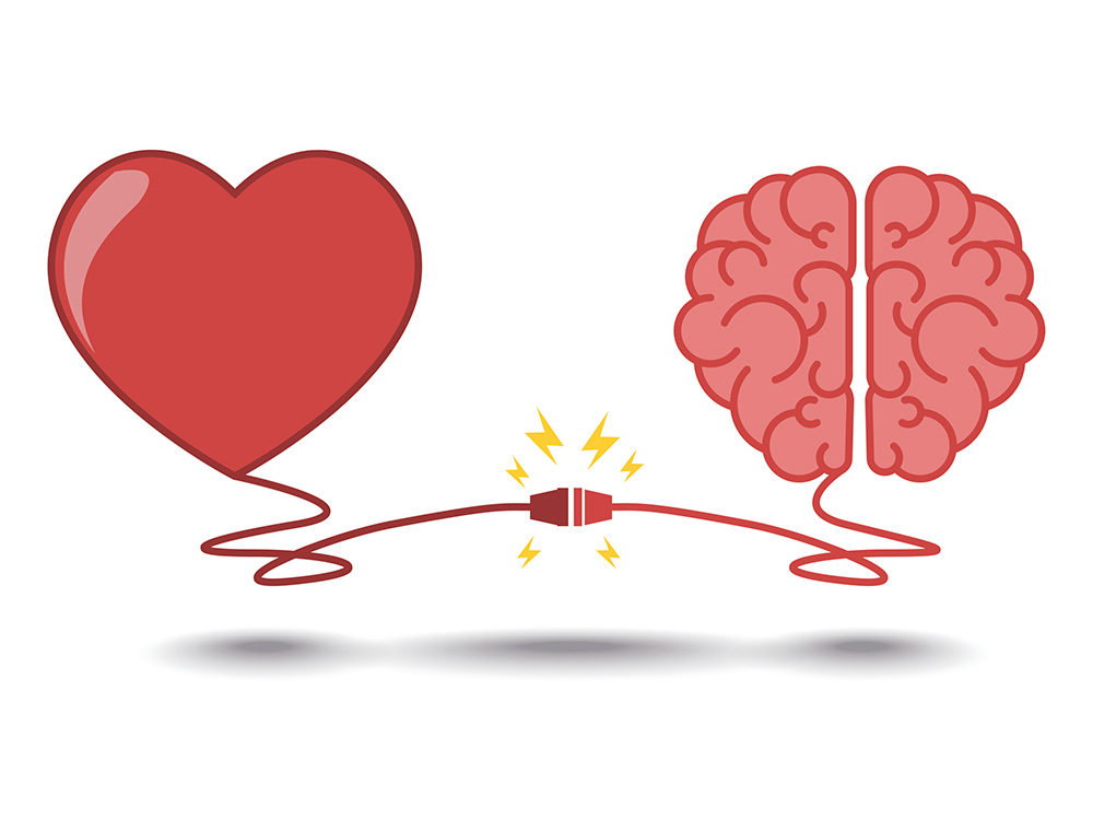 illustration of a heart connected with a brain