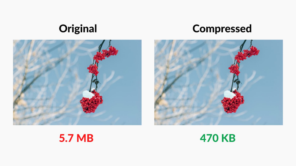 image comparing an original and a compressed image