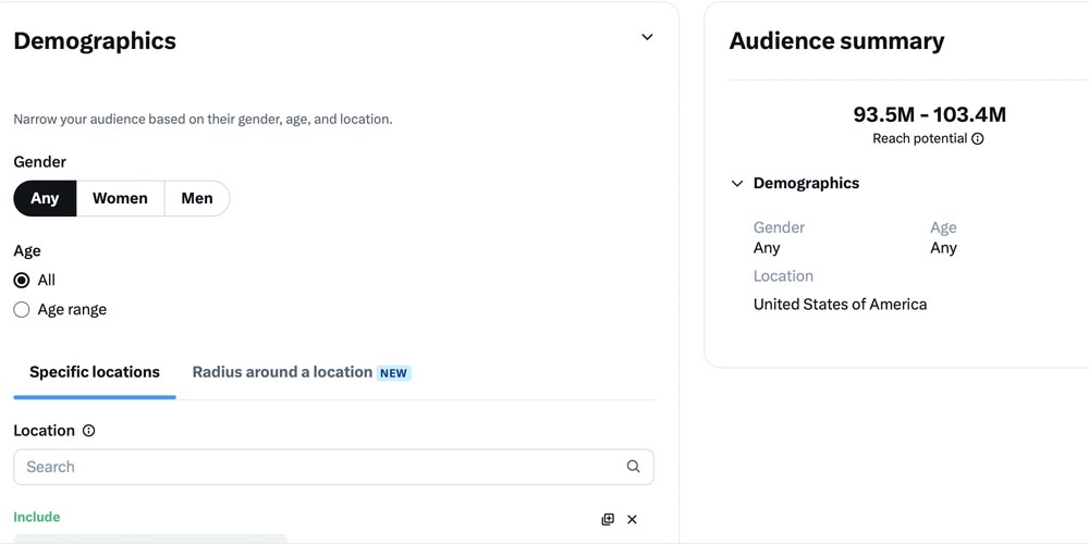 Customize your delivery on Twitter ads demographics and audience summary