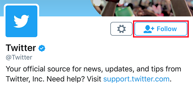 image of a twitter profile with the "follow" button highlighted