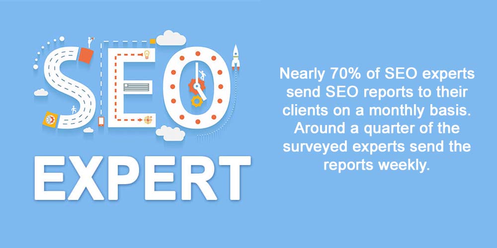 What is an SEO expert and statistics