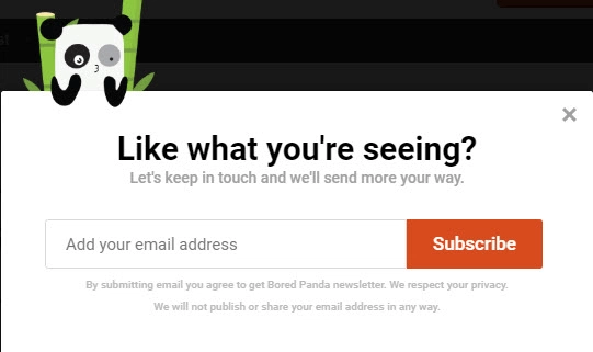 image from Bored Panda's newsletter showing the option to subscribe to it